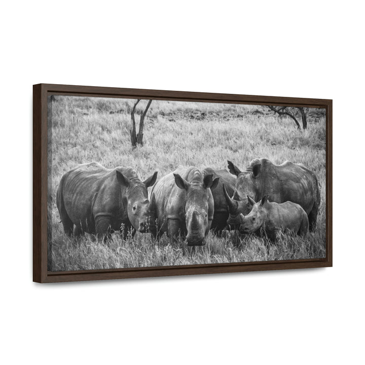 Rhino Family in Black and White - Canvas with Frame