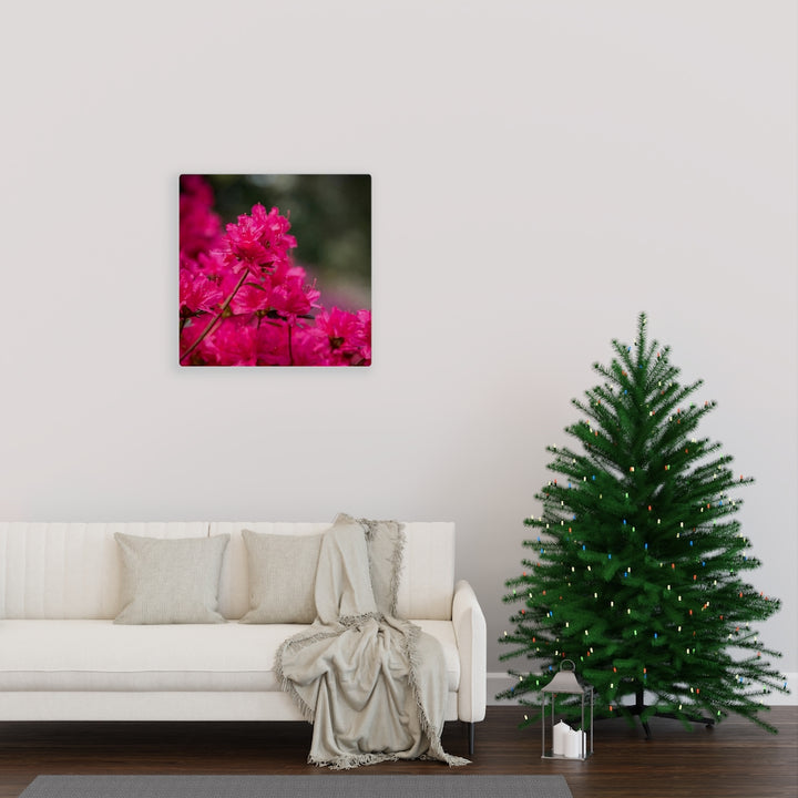 Full Bloom - Canvas