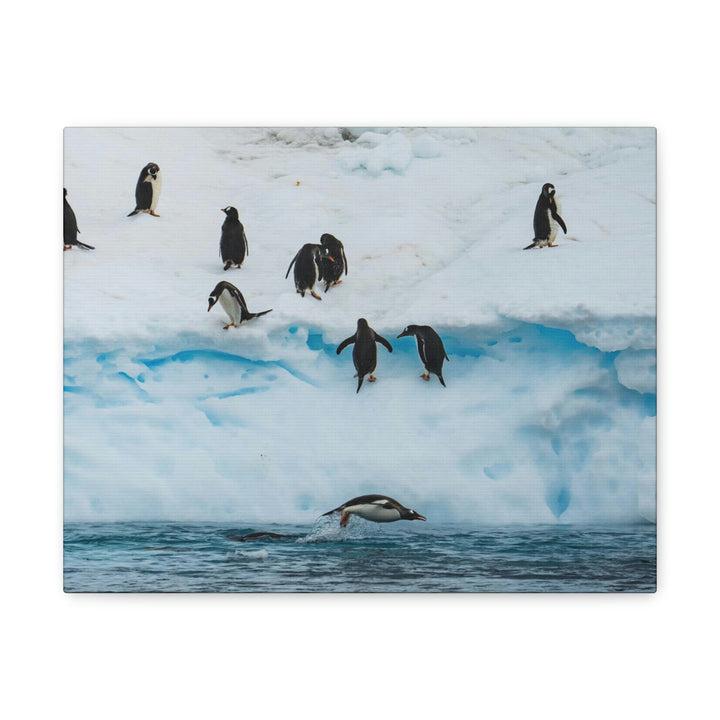 Porpoising Penguin - Canvas