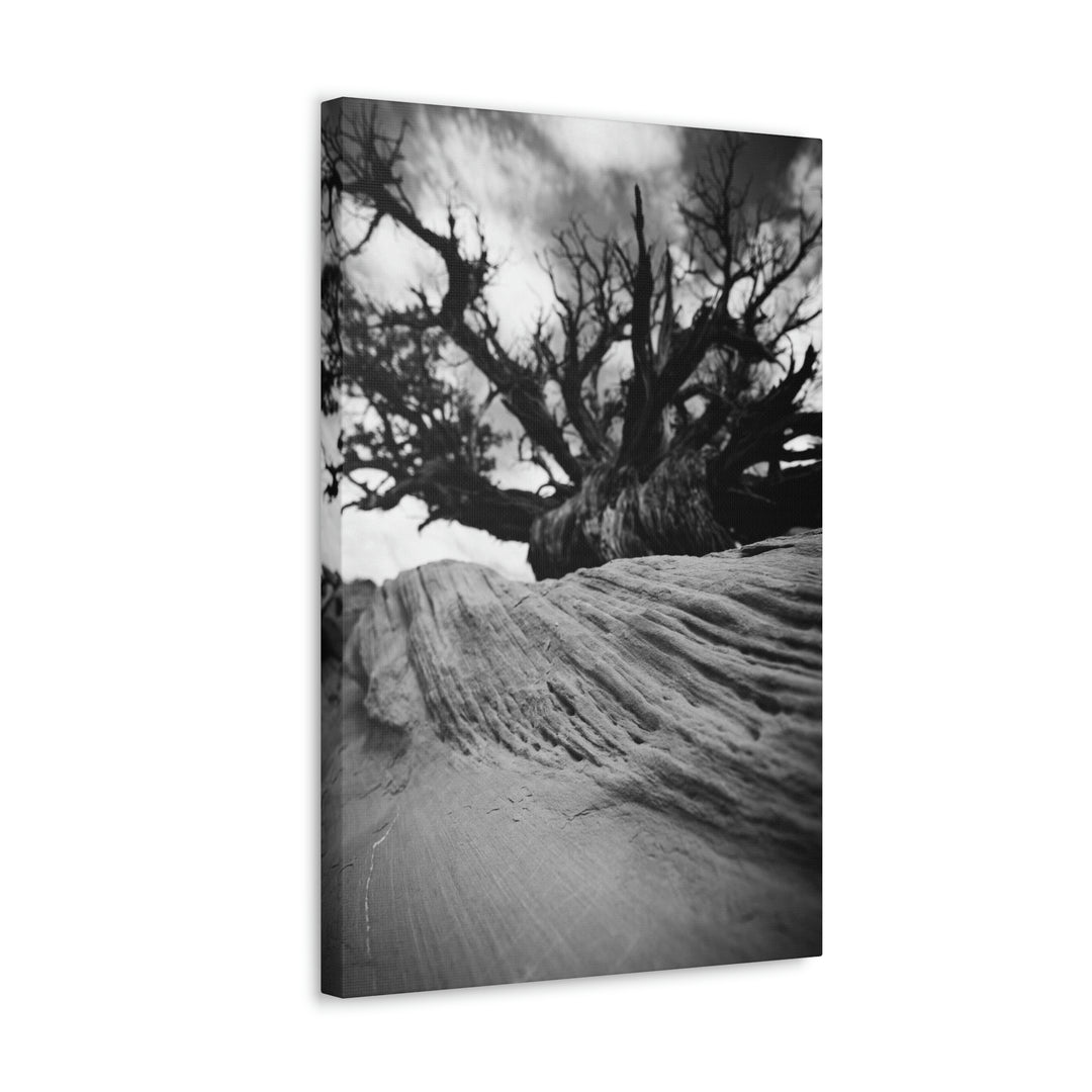 Desert Reach in Black and White - Canvas