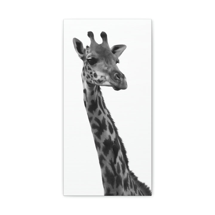 Giraffe Portrait in Black and White  - Canvas