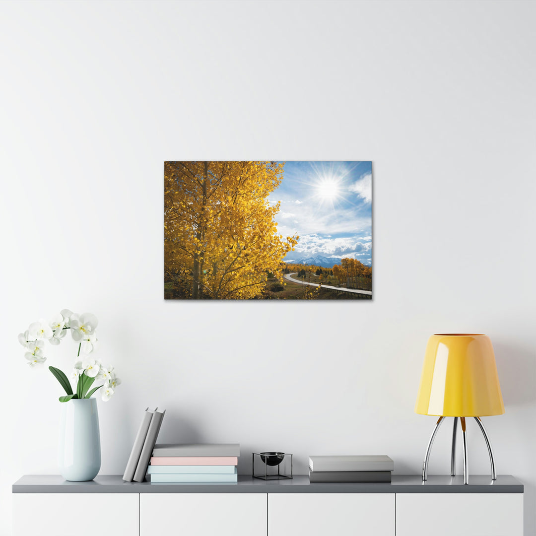 Golden Sunshine - Canvas