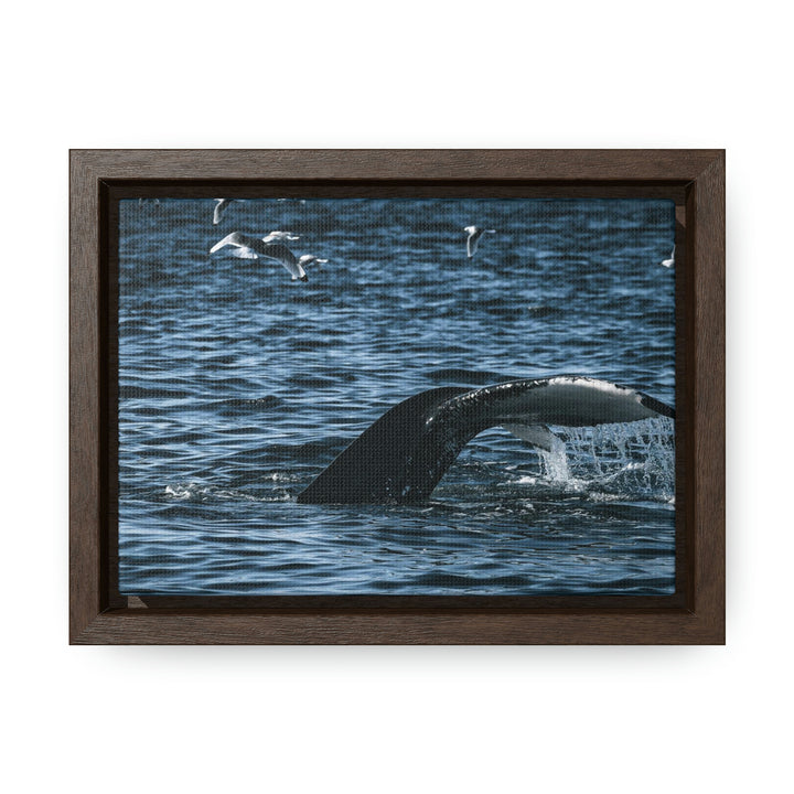 Feeding Tail - Canvas with Frame