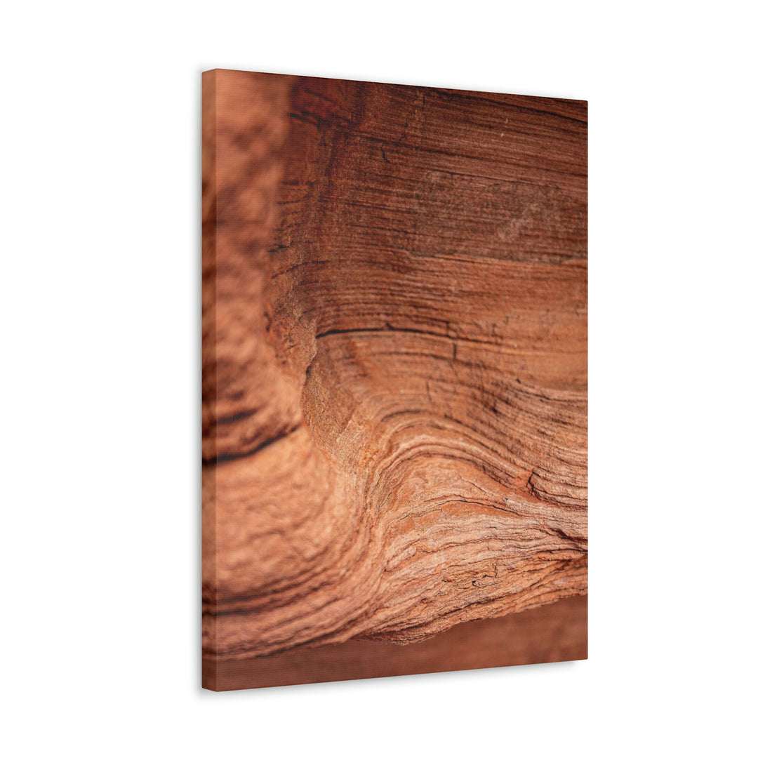 Sedimentary Rock Curves - Canvas