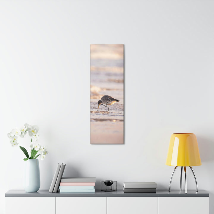 Willet Itch - Canvas