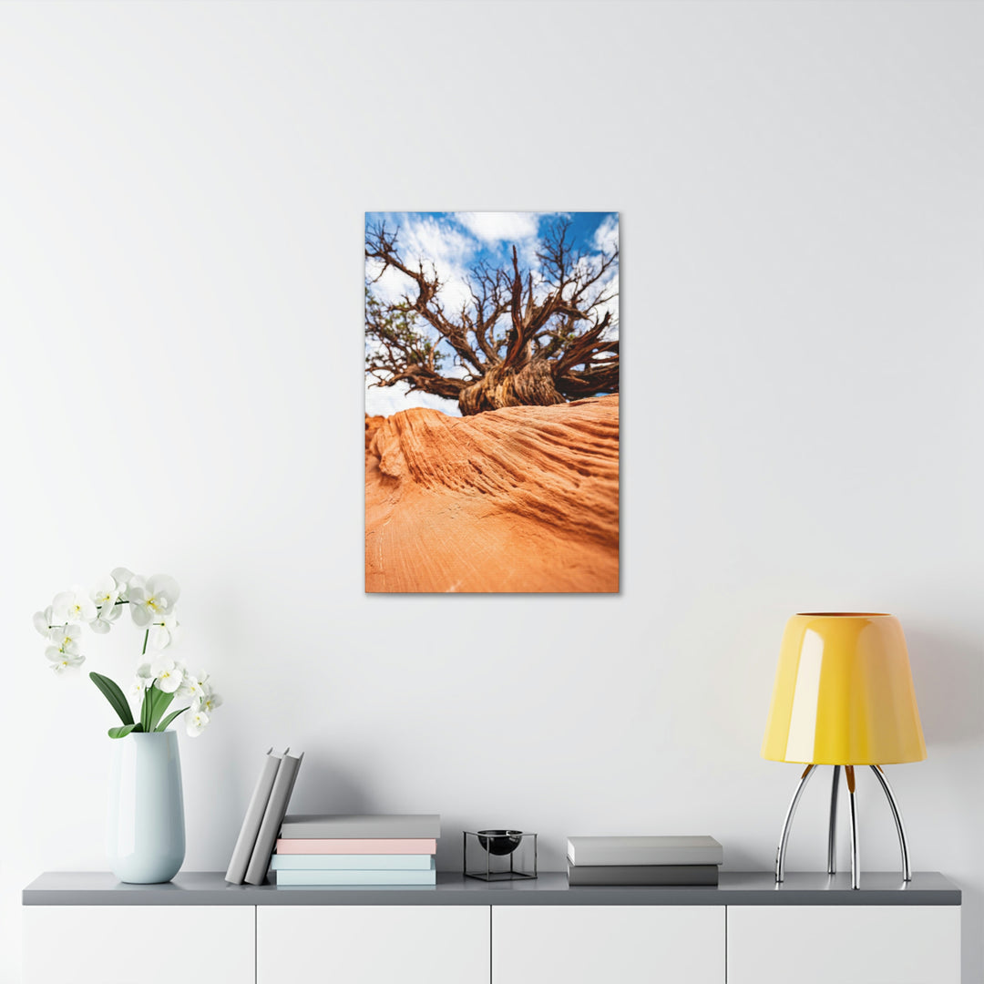 Desert Reach - Canvas