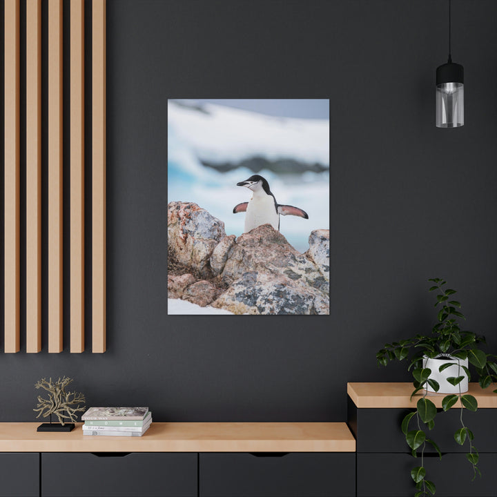 Stretched Penguin - Canvas