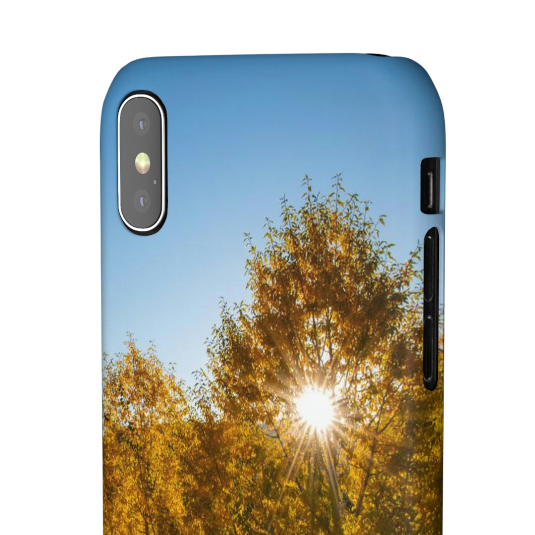 Sun Through the Aspens - Phone Case