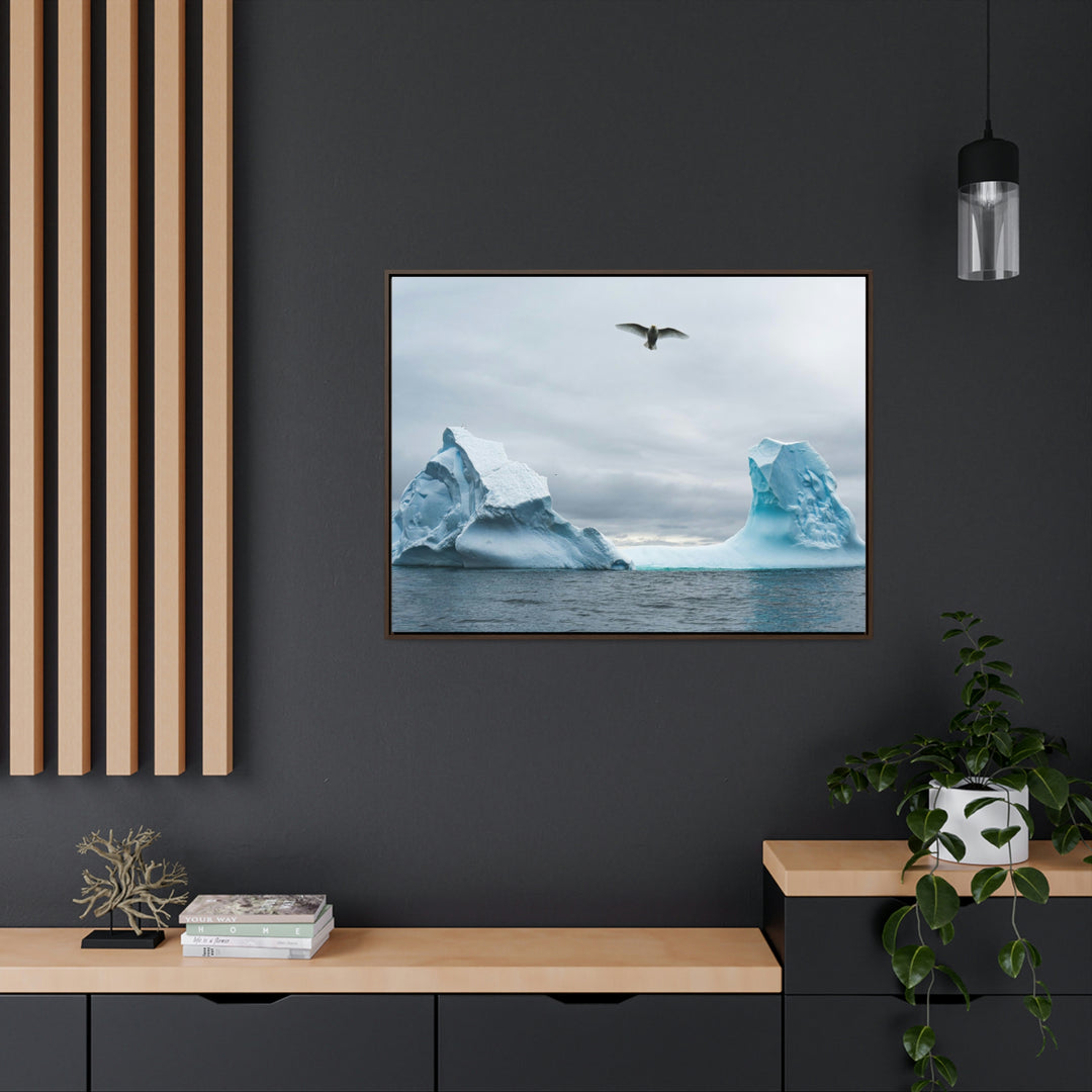 Antarctic Flight - Canvas with Frame