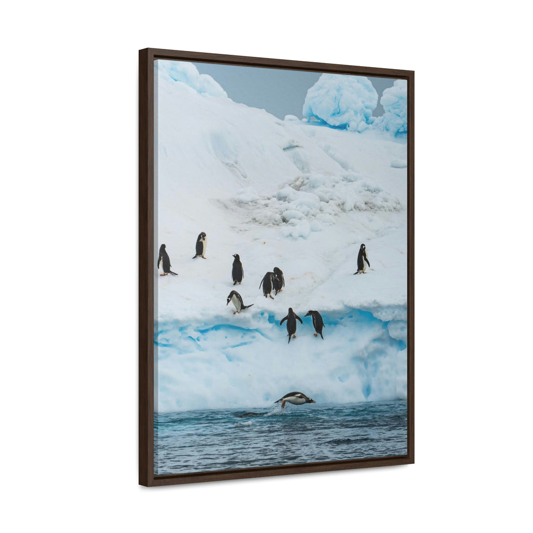 Porpoising Penguin - Canvas with Frame