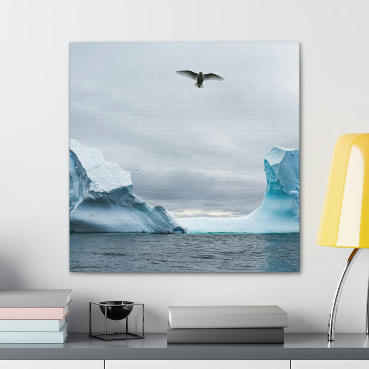 Antarctic Flight - Canvas