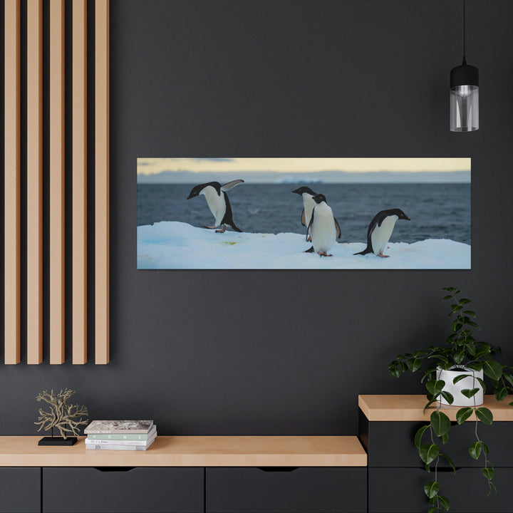 Penguin Dance - Canvas