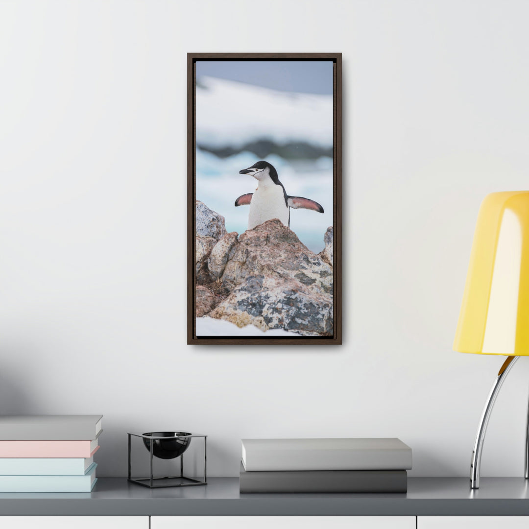 Stretched Penguin - Canvas with Frame