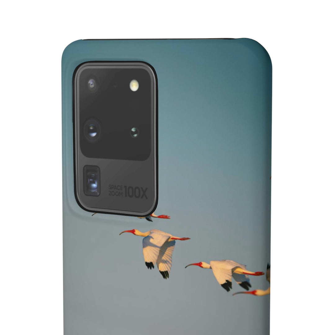 White Ibis in Flight - Phone Case