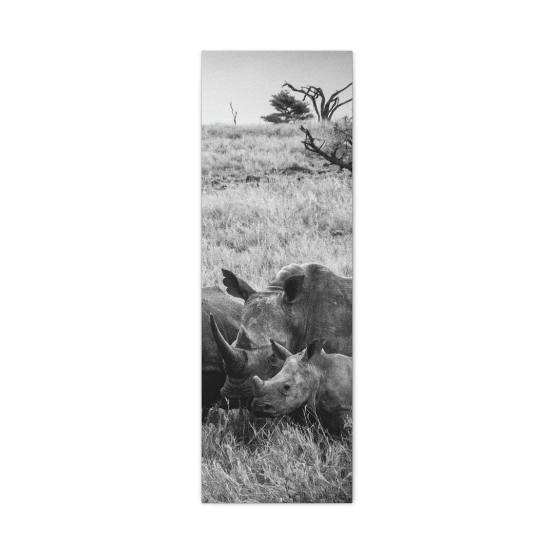 Rhino Family in Black and White - Canvas