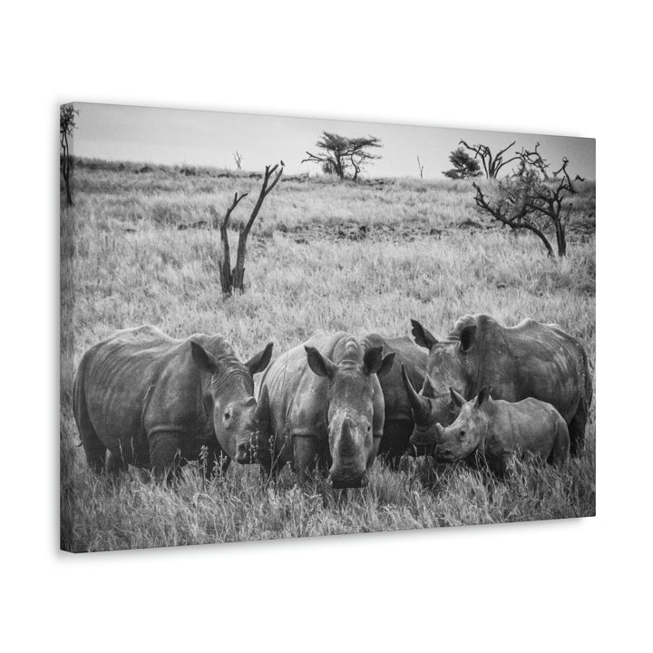 Rhino Family in Black and White - Canvas