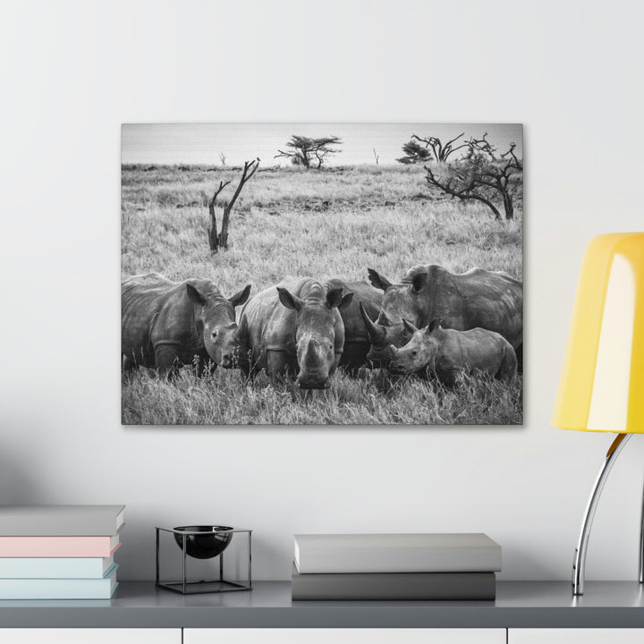 Rhino Family in Black and White - Canvas