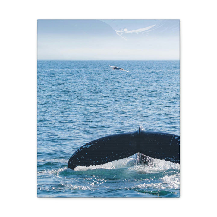 A Whale and A Mountain - Canvas