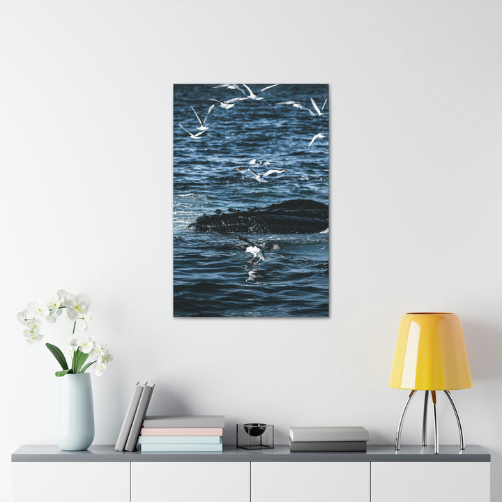 Humpback Hello - Canvas