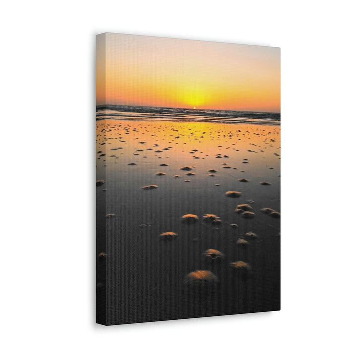 Burrows at Sunrise - Canvas