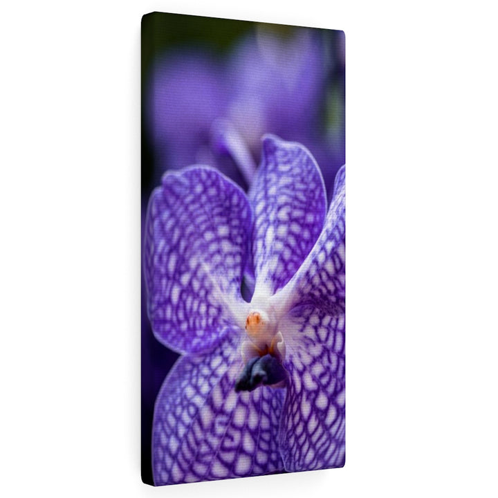 Orchid Detail - Canvas