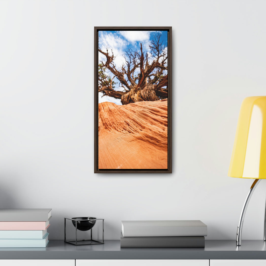 Desert Reach - Canvas with Frame