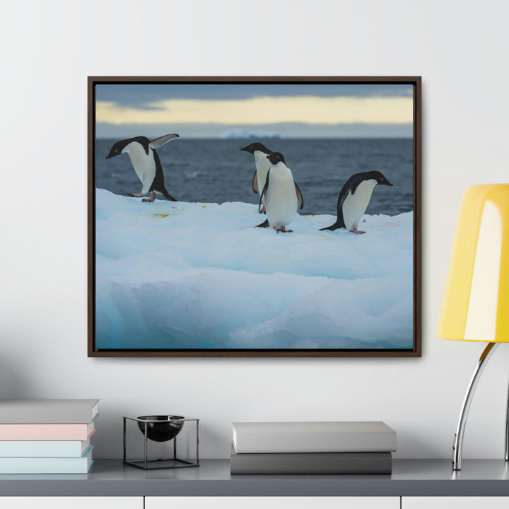 Penguin Dance - Canvas with Frame