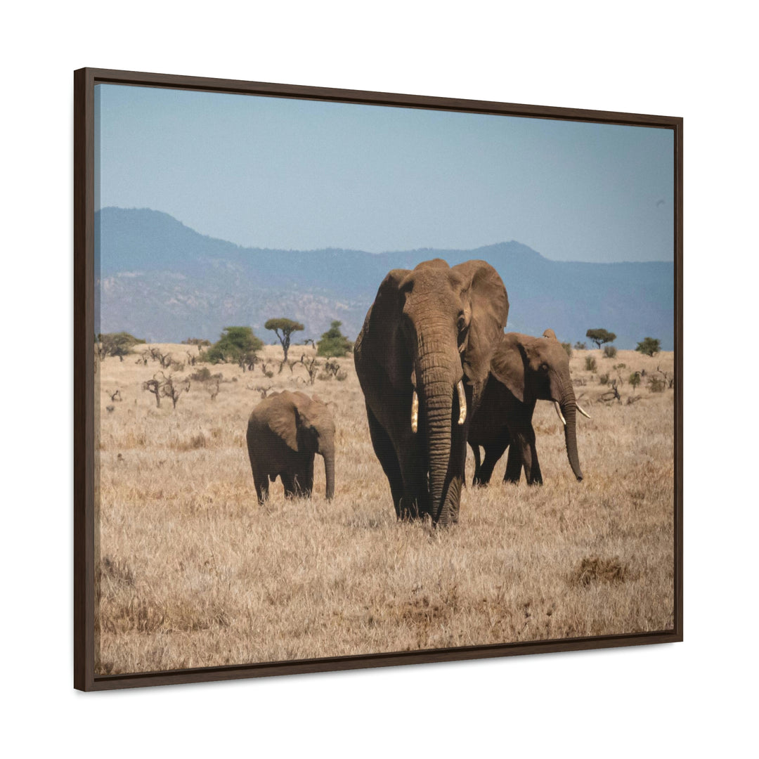 Family March - Canvas With Frame