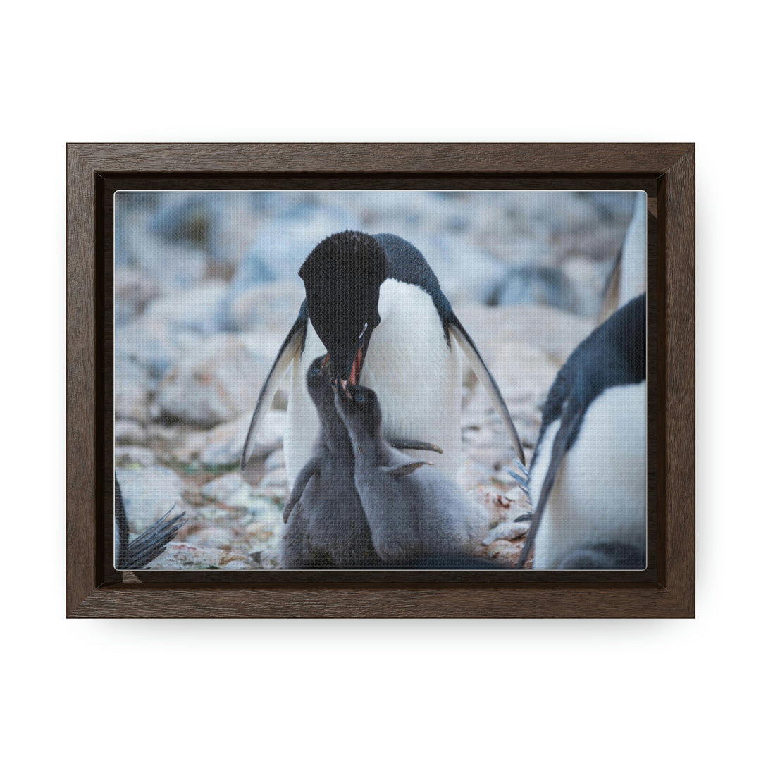 Feeding Time - Canvas with Frame