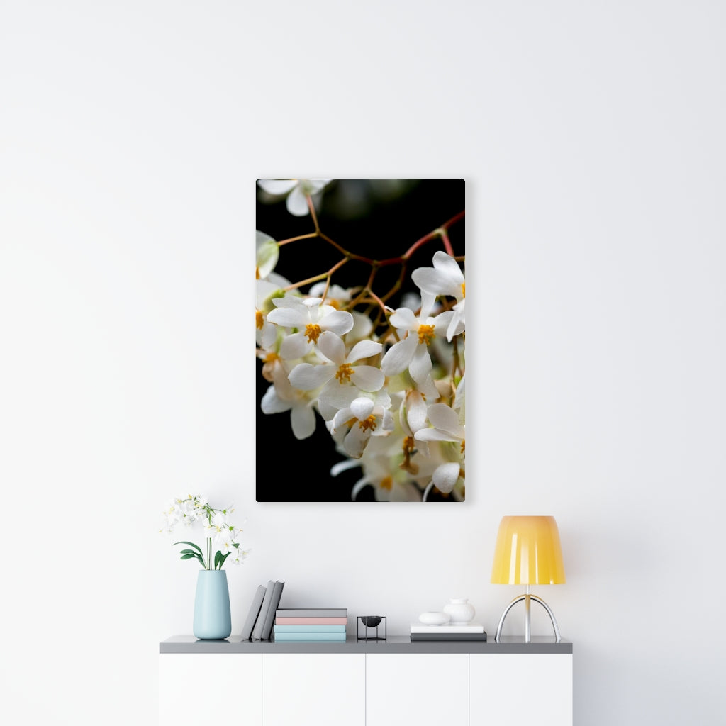 Floral Network - Canvas