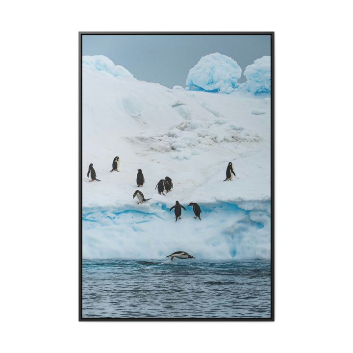 Porpoising Penguin - Canvas with Frame