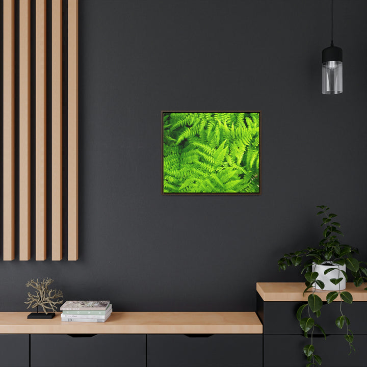 Ferns, Ferns, Ferns - Canvas with Frame