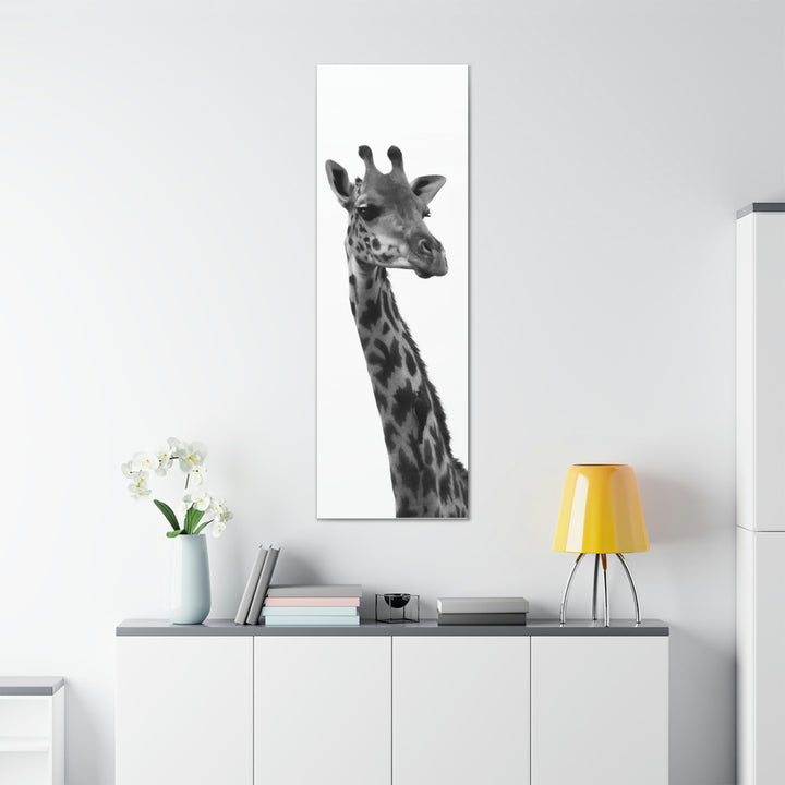 Giraffe Portrait in Black and White  - Canvas