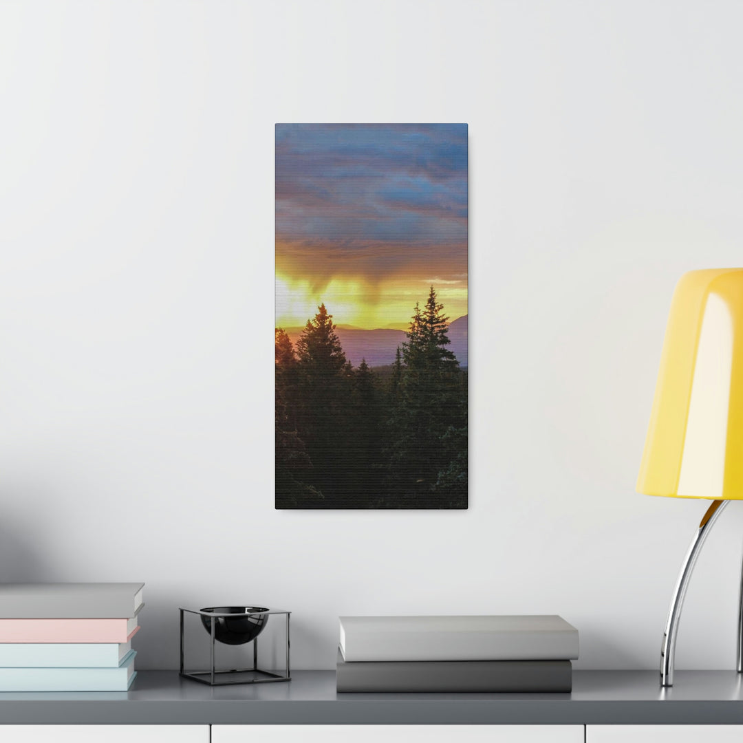 Rainy Sunset Through the Trees - Canvas