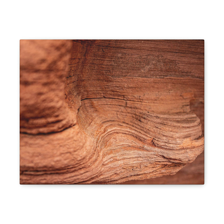 Sedimentary Rock Curves - Canvas