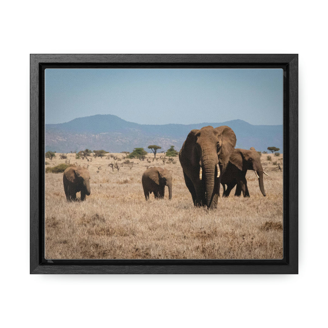 Family March - Canvas With Frame