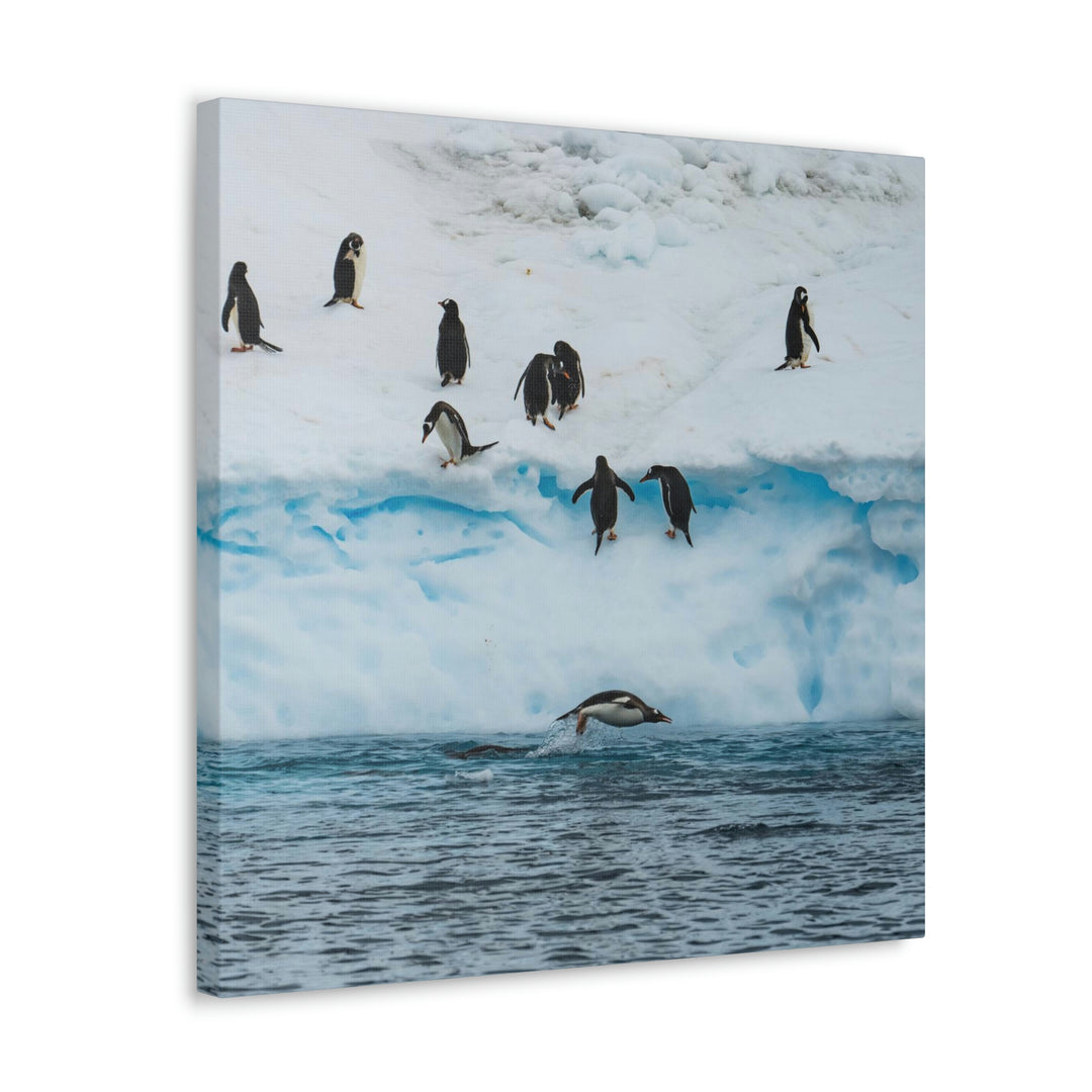 Porpoising Penguin - Canvas