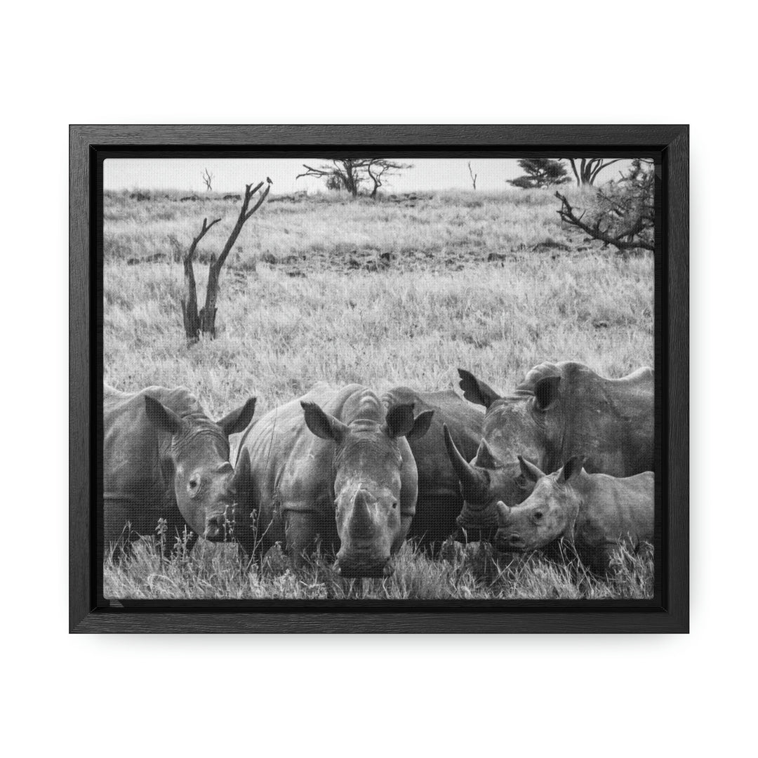 Rhino Family in Black and White - Canvas with Frame