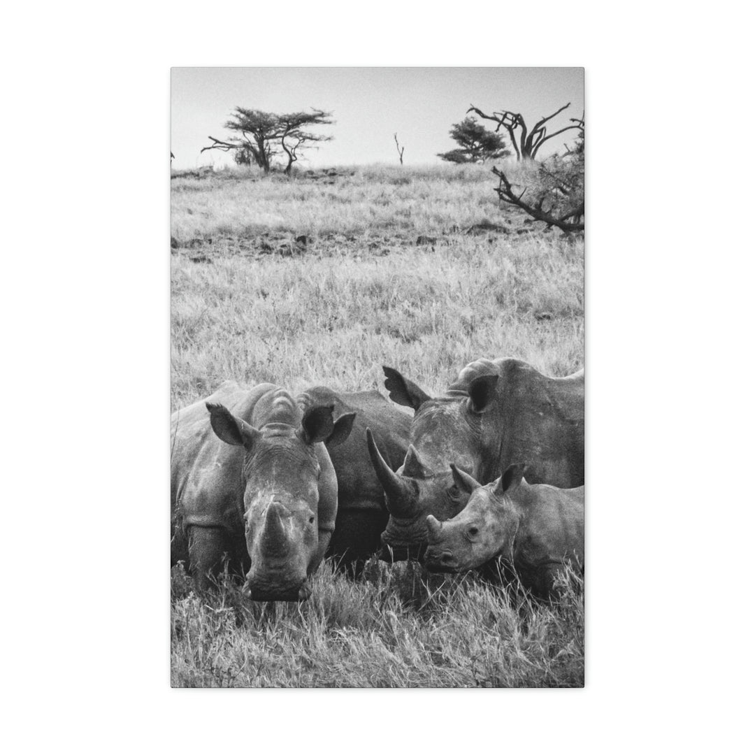 Rhino Family in Black and White - Canvas