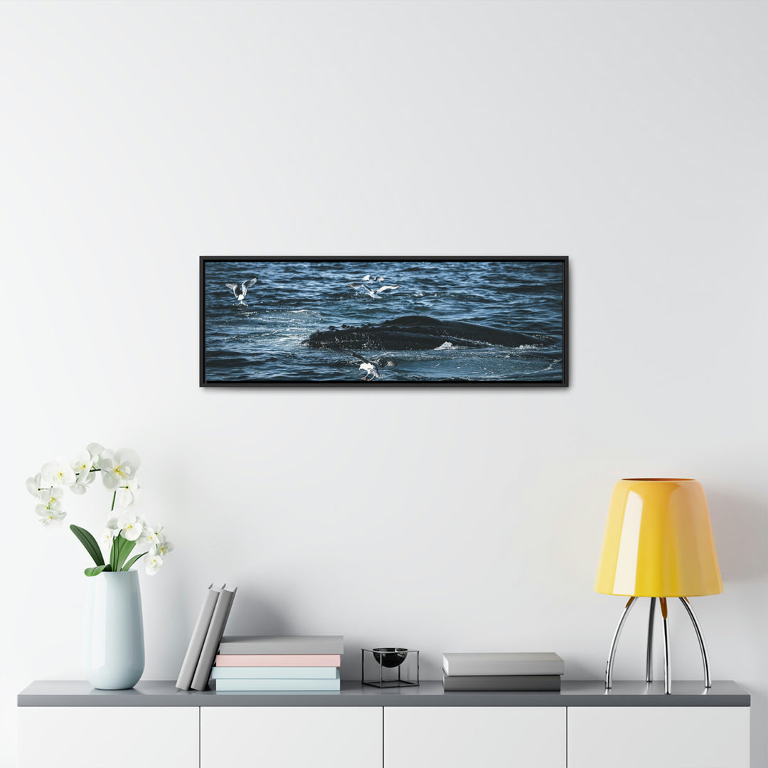 Humpback Hello - Canvas with Frame