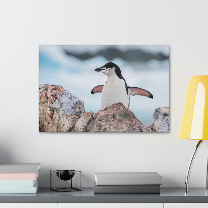 Stretched Penguin - Canvas