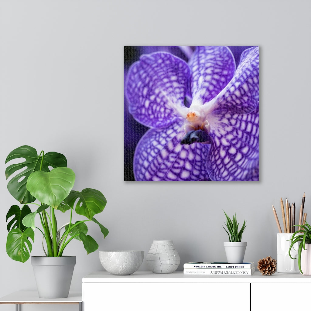 Orchid Detail - Canvas