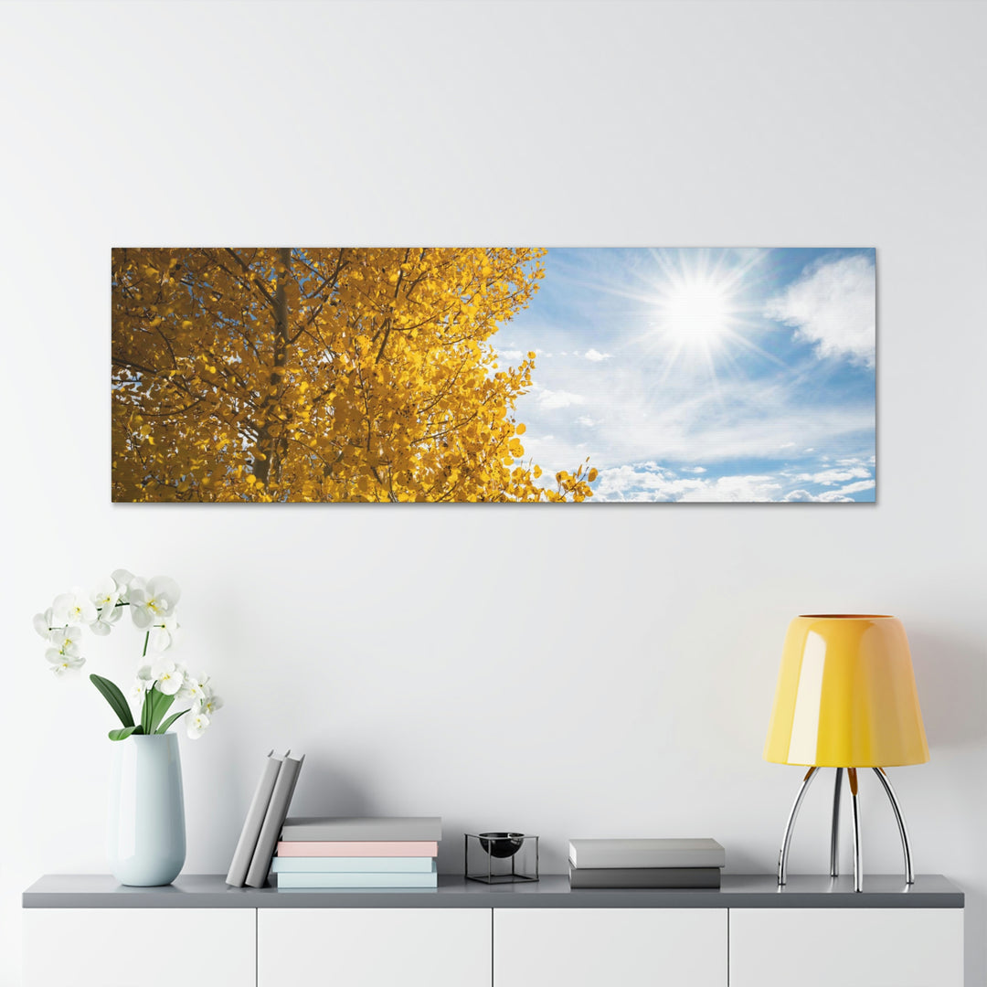 Golden Sunshine - Canvas