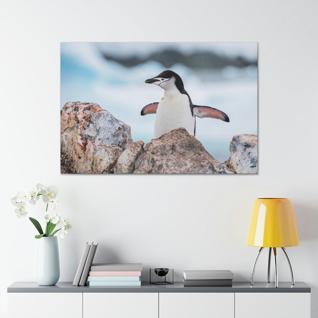 Stretched Penguin - Canvas