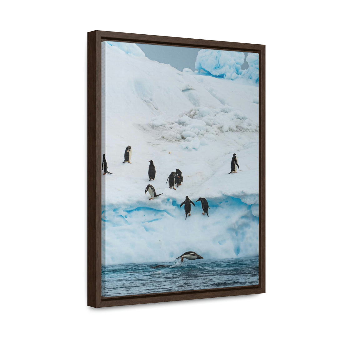 Porpoising Penguin - Canvas with Frame