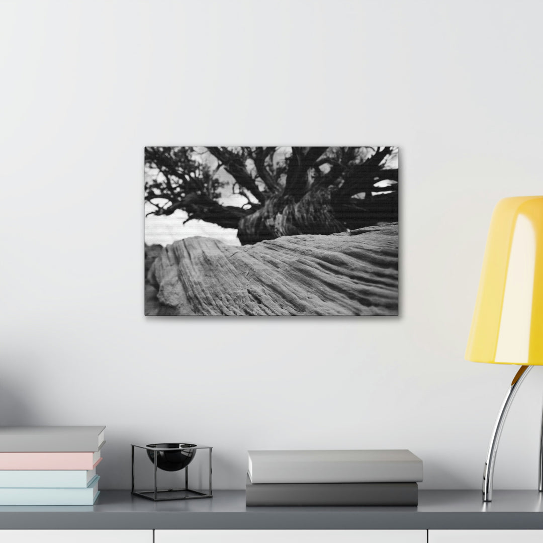 Desert Reach in Black and White - Canvas