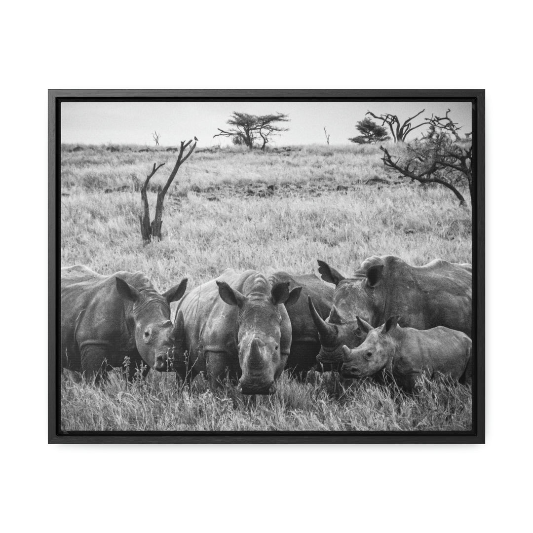 Rhino Family in Black and White - Canvas with Frame