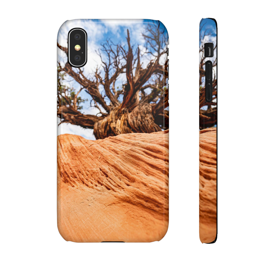 Desert Reach - Phone Case