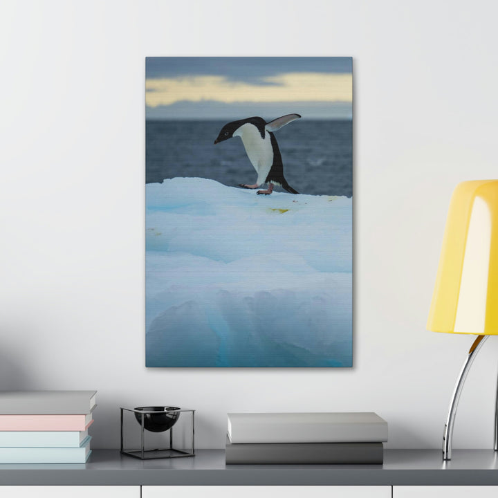 Penguin Dance - Canvas