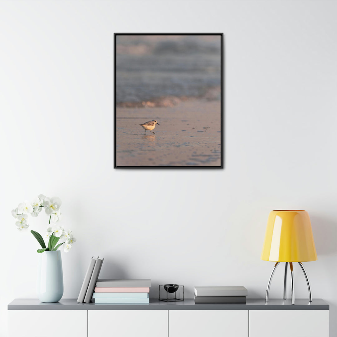 Sanderling in Soft Dusk Light - Canvas with Frame